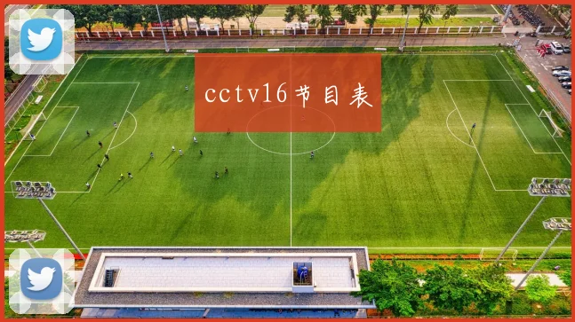 cctv16节目表